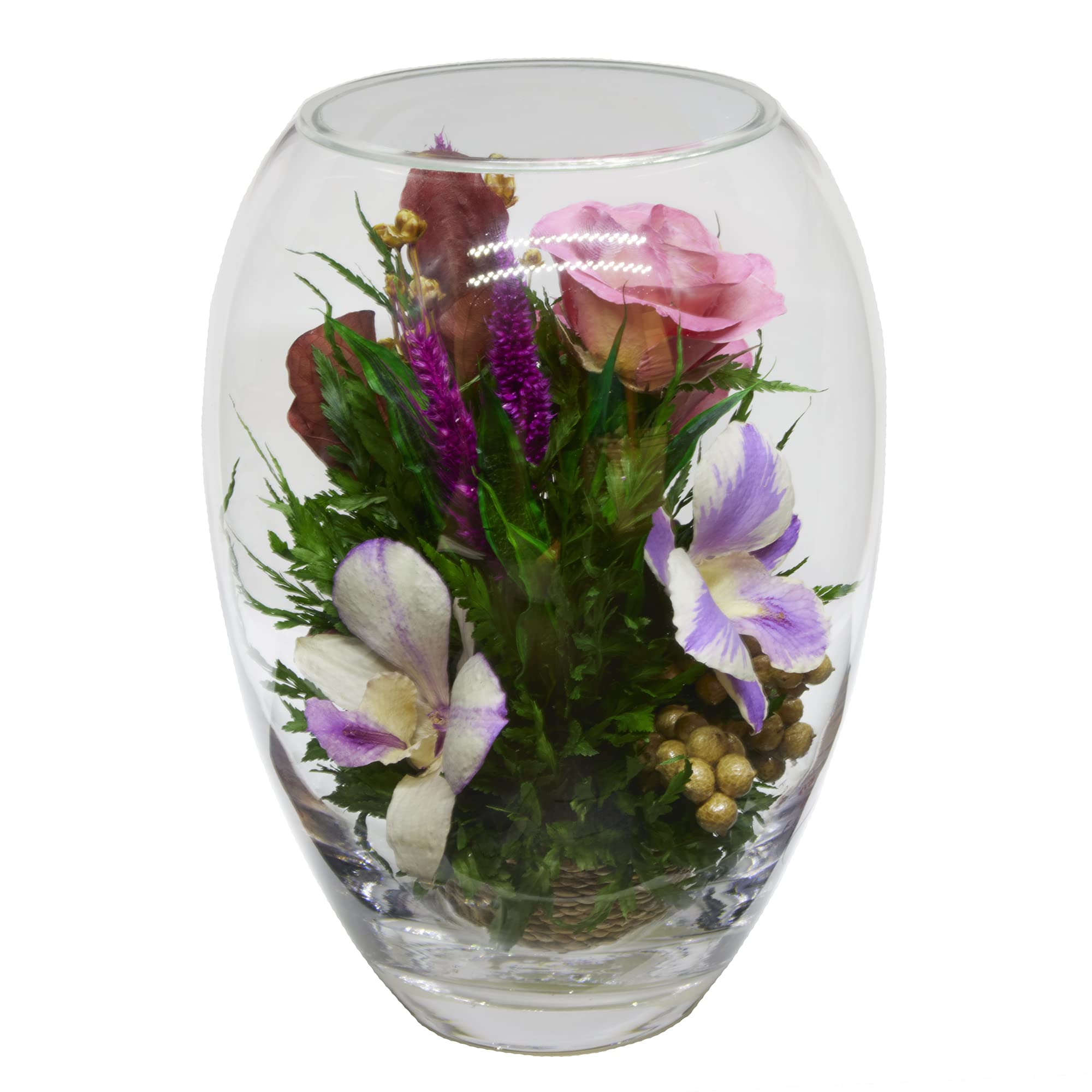 Luxury Preserved Orchid Arrangement in Glass Vase - Long-Lasting Silk Flowers for Anniversary, Wedding, Corporate Gifts - Perfect for Home Decor, Office Centerpiece & Special Occasions