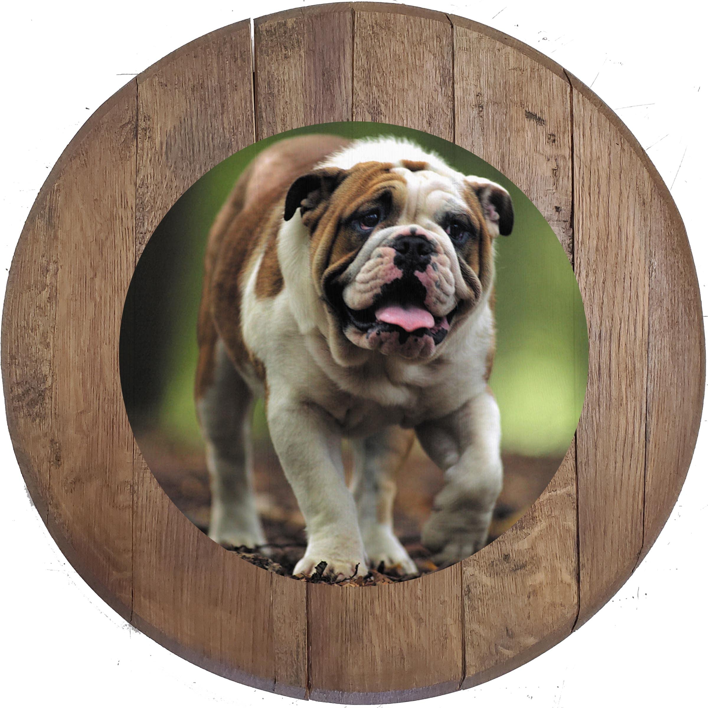 Large Oak Whiskey Barrel Lid Bar Sign - English Bulldog Aged Rustic Wall Art - 22 Inch Man Cave Decor & Unique Gifts for Whiskey Lovers - Perfect for Home Bars, Basements & Hunting Lodges