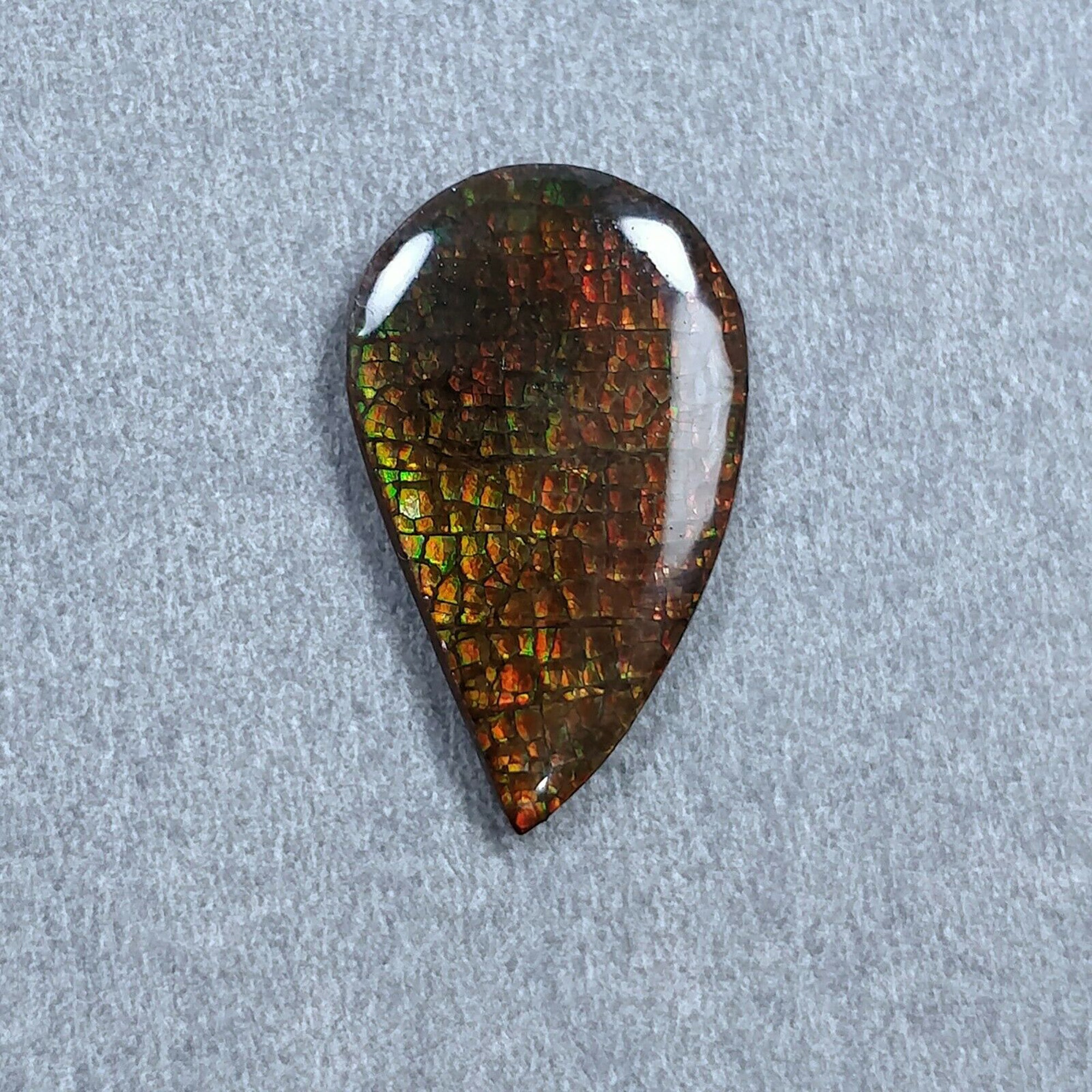 Natural AMMOLITE Gemstone Cabochon - Bi-Color Fossilized Shell Jewelry Making Stone (23x14mm or 36x16mm) for Pendants, Rings & Unique Handmade Jewelry Designs