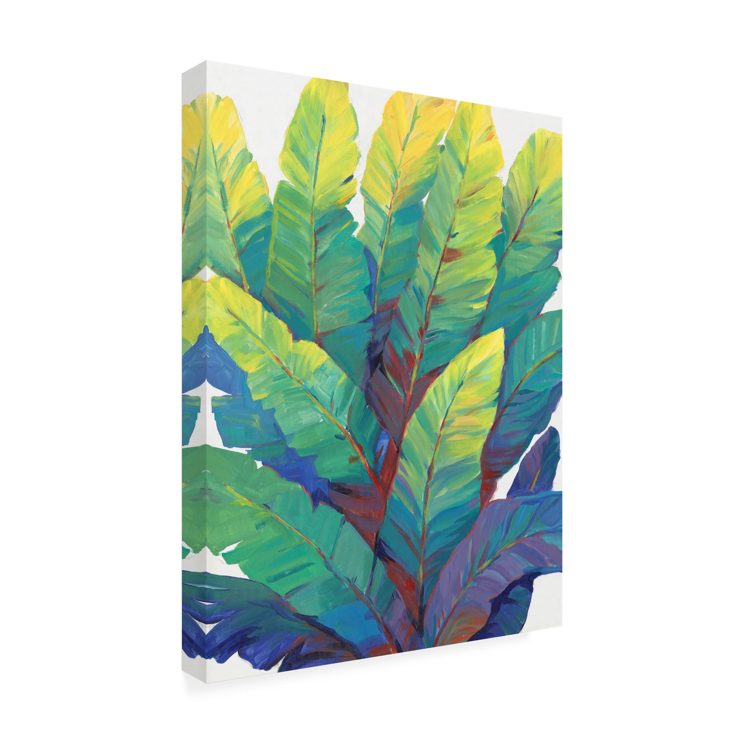 Trademark Fine Art 'Sunlit Banana Leaves II' Canvas Wall Art by Tim OToole - Tropical Botanical Painting for Living Room, Bedroom & Office Decor