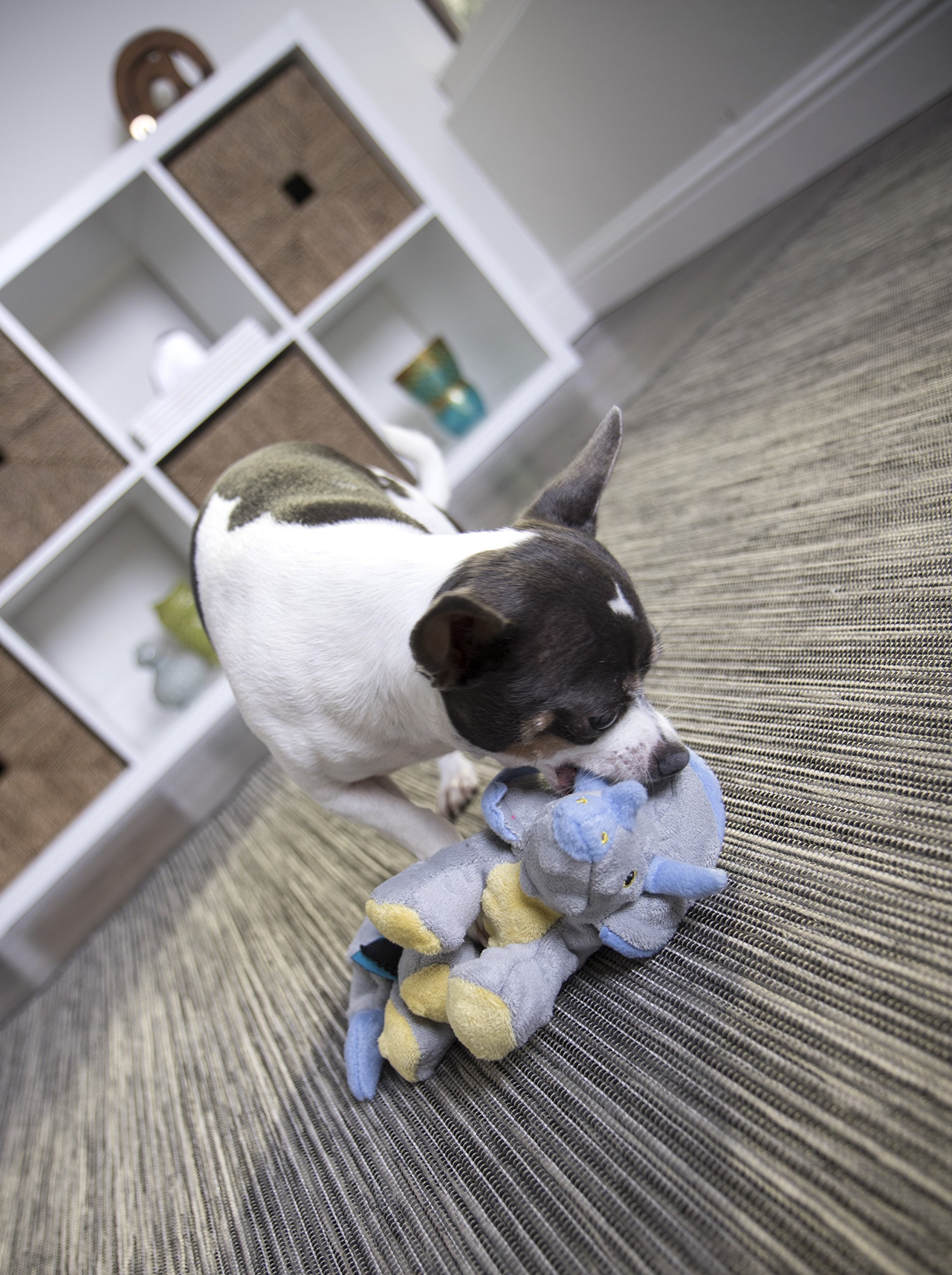 goDog Dinos Frills Squeaky Plush Dog Toy with Chew Guard Technology - Gray Small Dinosaur Chew Toy for Puppies & Small Dogs | Interactive Play, Training Reward, Teething Relief