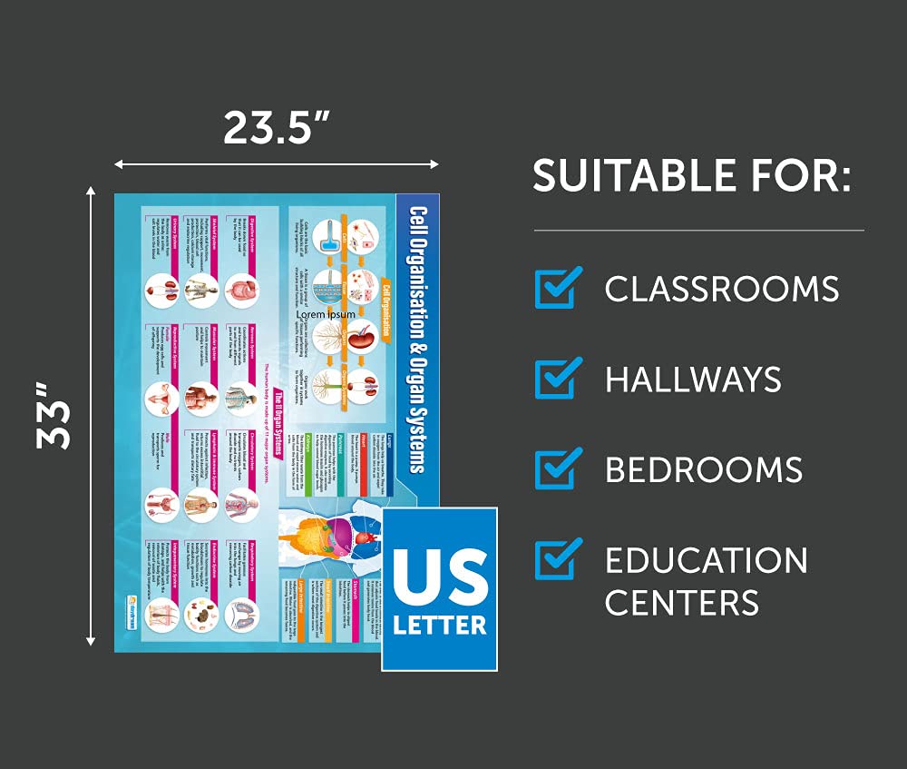 Biology Science Posters - Set of 13 Extra Large 33x23.5 Inch STEM Classroom Decor - High Quality Gloss Paper Wall Charts for Middle & High School - Educational Science Classroom Decorations by Daydream Education - Perfect for Science Labs, Homeschooling & Classroom Learning