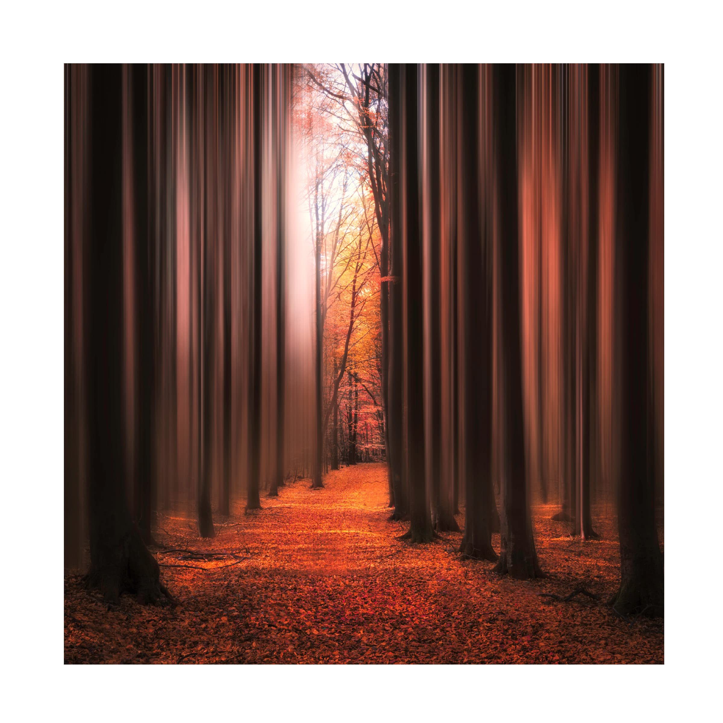 Trademark Fine Art 'Don't Wake Me Up' Canvas Wall Art by Christian Lindsten - Modern Home Decor for Living Room & Bedroom