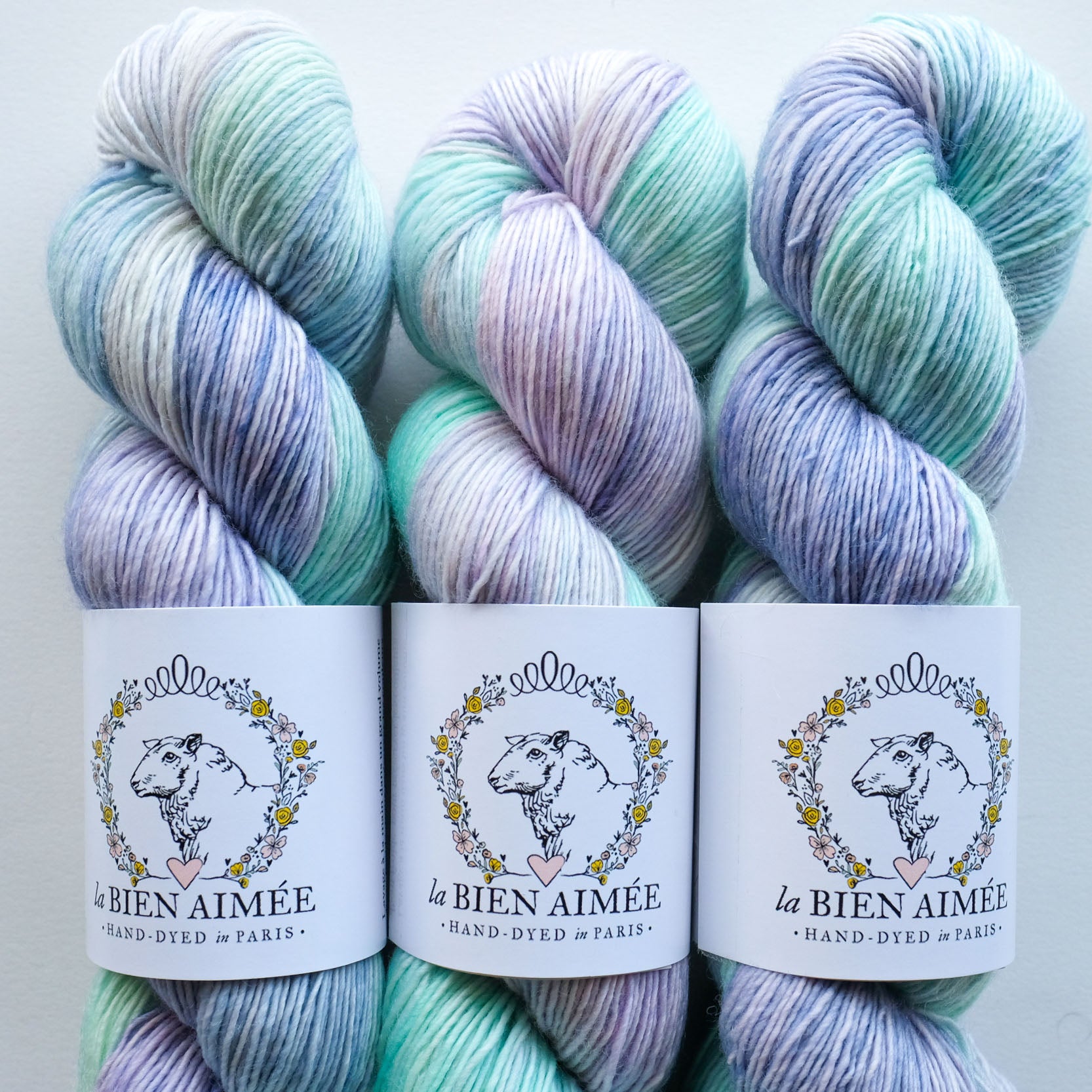 La Bien Aimee Premium Merino Wool Yarn Singles - Soft Hand-Dyed Knitting & Crochet Yarn for Sweaters, Scarves & Baby Clothes