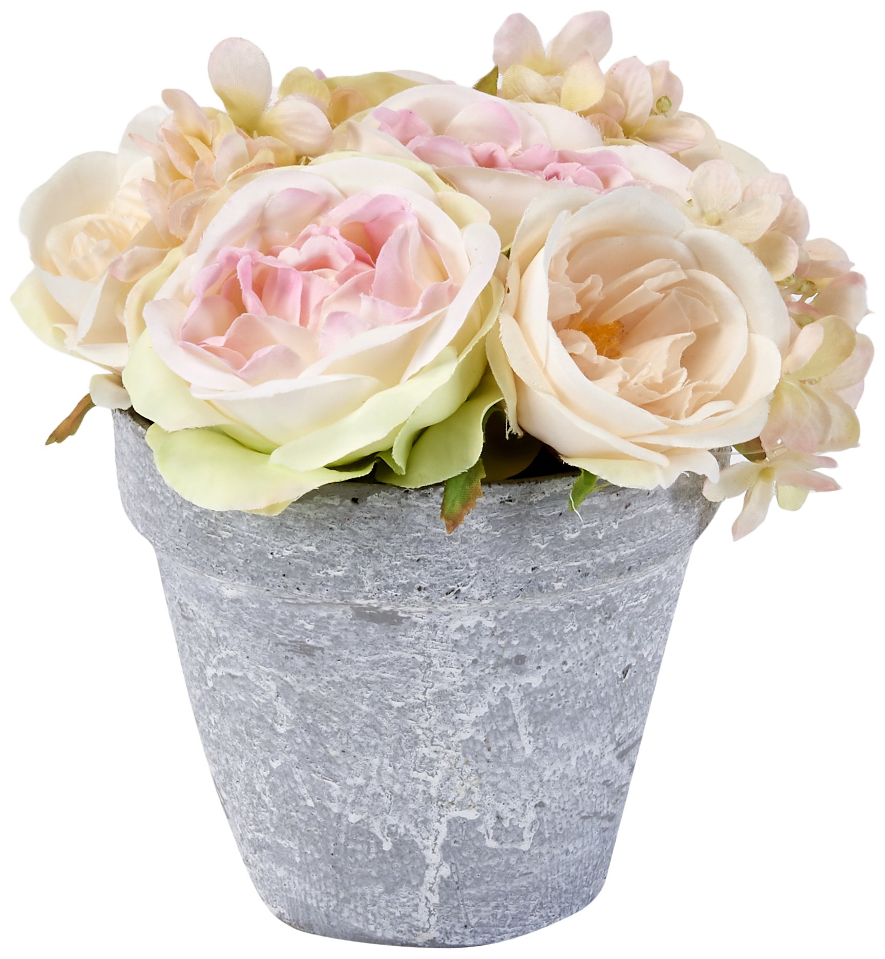Beautiful Roses in 6 Inch Ceramic Pot - Perfect for Home Decor, Gifts, and Garden Planting