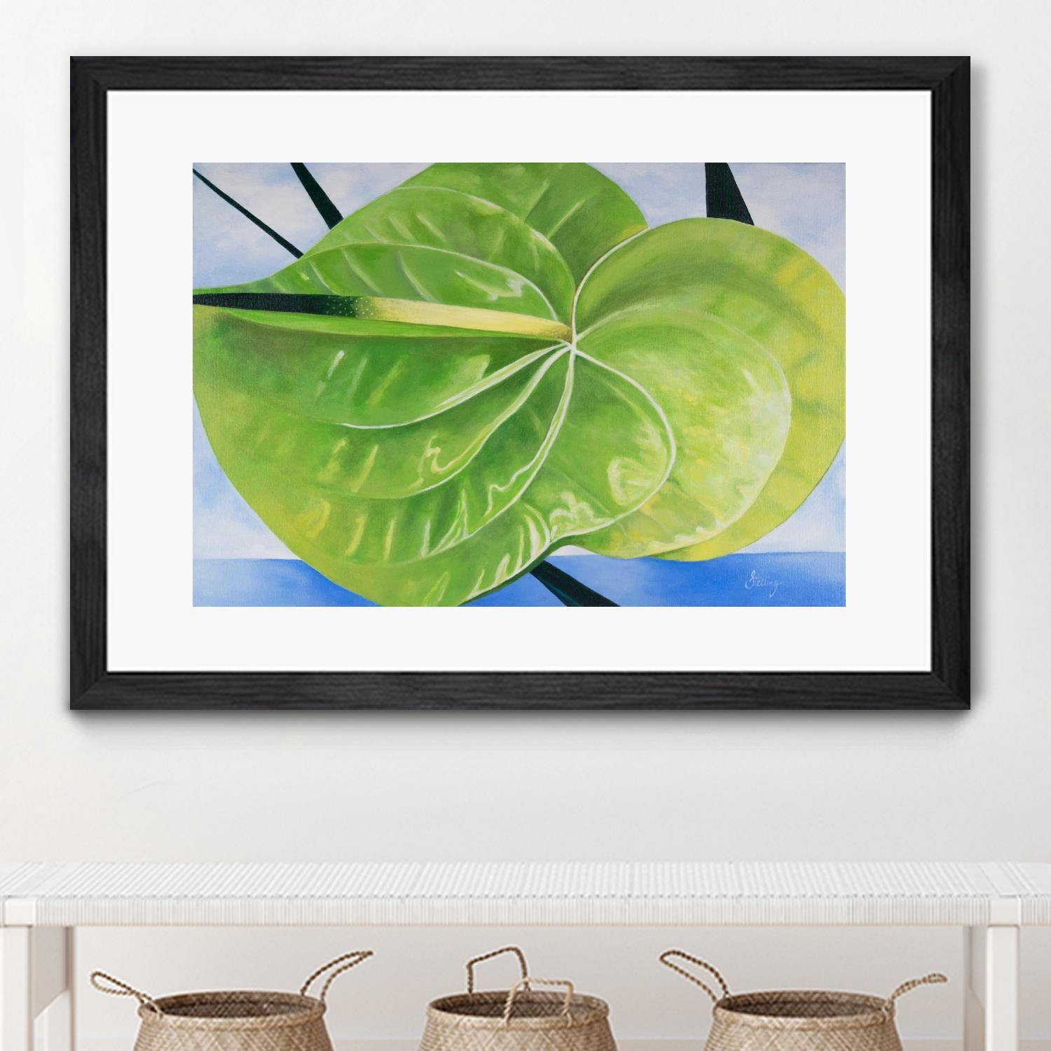 Anthurium Plant - Live Tropical Flowering Houseplant for Home & Office Decor | Perfect for Indoor Gardens, Gifts, and Wedding Centerpieces