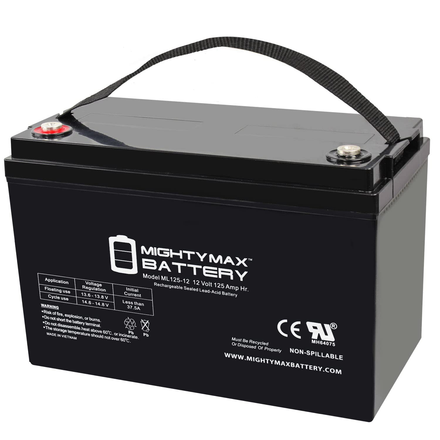 Mighty Max 12V 125AH SLA Rechargeable Battery - Compatible with GOAL ZERO Yeti 1250 Power Station - Perfect for Solar Power Systems, RV, Marine & Off-Grid Applications