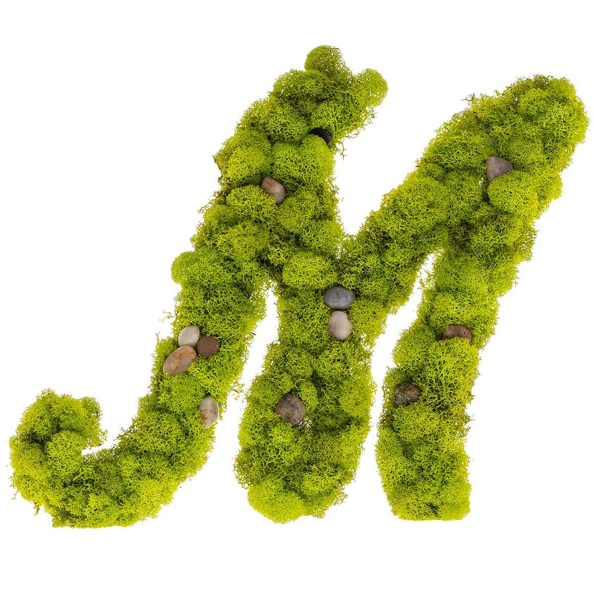 Custom Preserved Moss Monogram Initial Wall Art - Personalized Home Decor for Living Room, Bedroom & Office | Eco-Friendly Greenery Letter Design