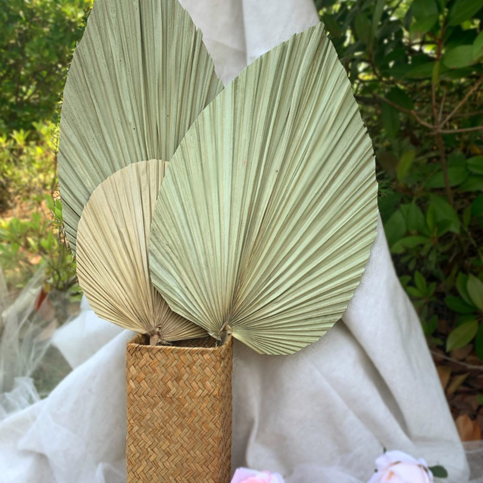 Dried Palm Fan Leaves for Wedding Arch Decor, Party Wall Hanging, Window Reception & Home Art Decoration - Natural Boho Tropical Decor for Events, Parties & Home Styling