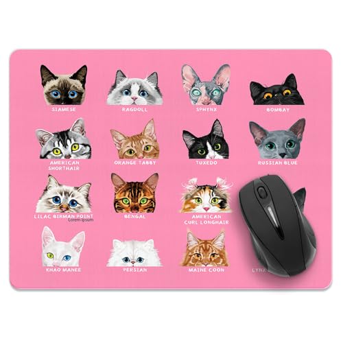 Cat Breeds