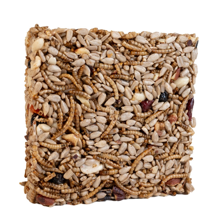 Premium Small Nuts & Bugs Seed Cake for Birds - Nutritious Wild Bird Food for Backyard Feeders & Garden Bird Watching