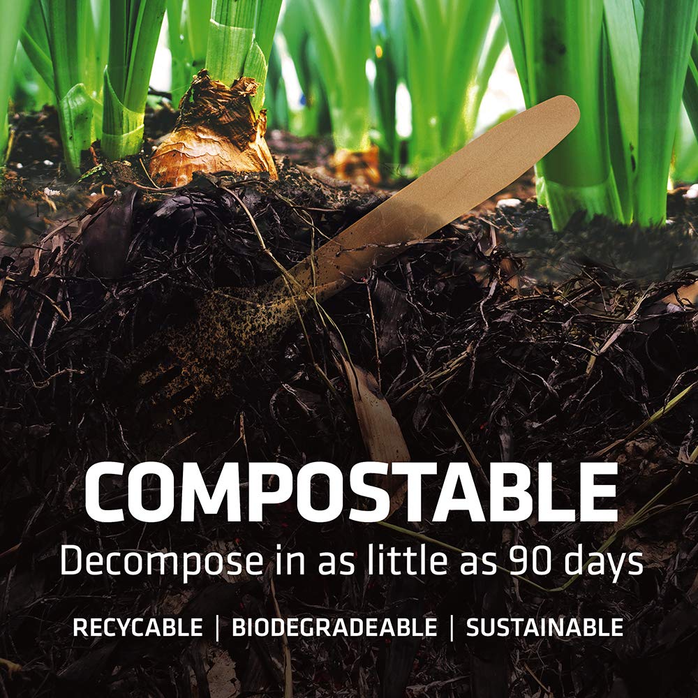Eco-Friendly Disposable Wooden Cutlery Set - 100% Home Compostable Bamboo Utensils (100 Forks, 6.5
