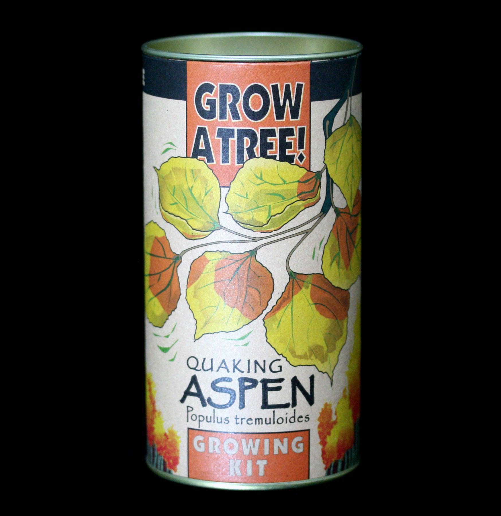 Quaking Aspen Tree Seeds Grow Kit - DIY Home Garden Planting Starter Set for Indoor & Outdoor Landscaping