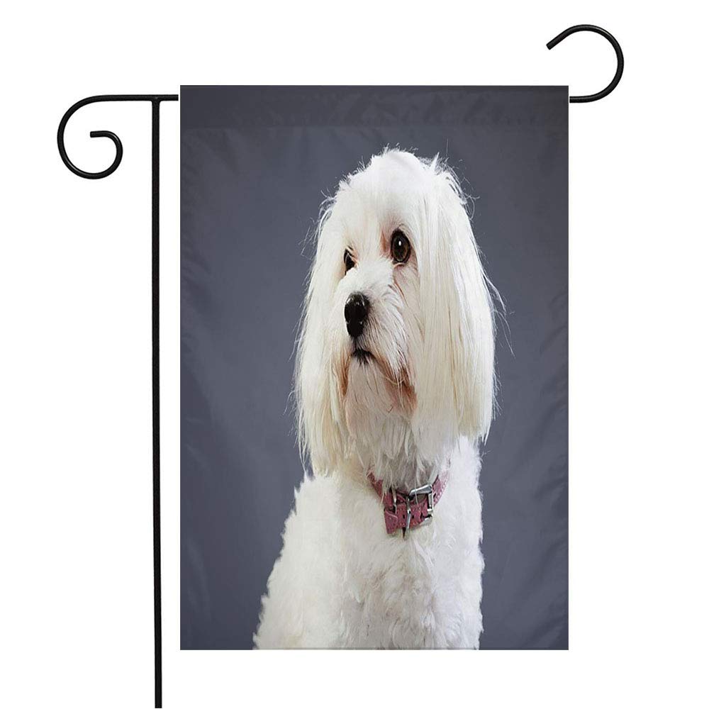 Black and White Maltese Dog Garden Flag - Adorable Breed Seasonal Decor for Patio, Lawn & Outdoor Home - 12x18 Inch - Perfect Gift for Dog Lovers & Pet Owners