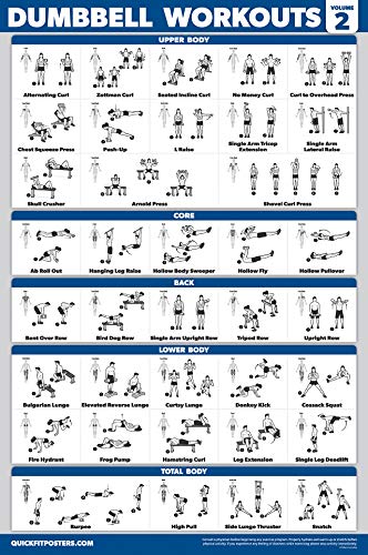 Dumbbell Workout Posters & Resistance Band Exercise Charts - 4 Pack Fitness Guide for Home Gym, Strength Training & Muscle Building | Includes Vol 1, 2, 3 + Band Workouts | Perfect for Beginners & Advanced Athletes