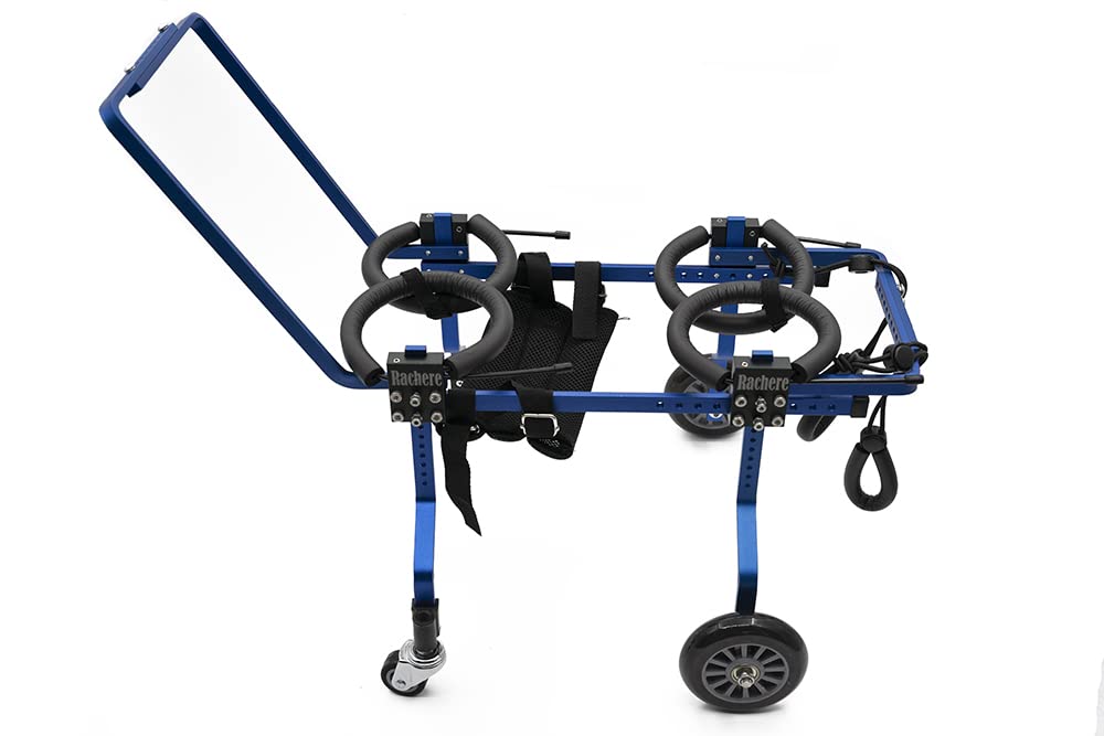 Rachere Adjustable Dog Wheelchair for Small Pets - 4-Wheel Support Cart for Hind Legs Paralysis Recovery & Mobility Assistance (Large Size) - Perfect for Indoor/Outdoor Use, Walks & Rehabilitation Therapy