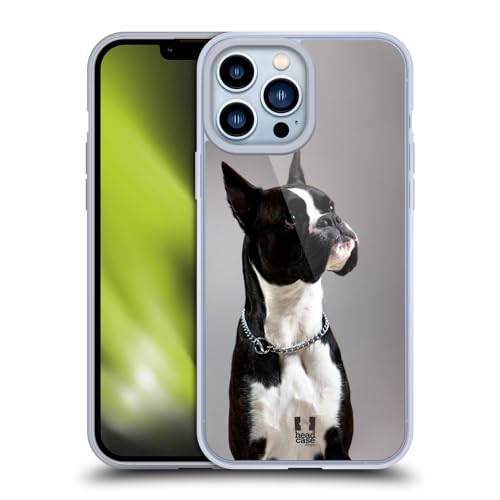 Black And White Dog Boxer
