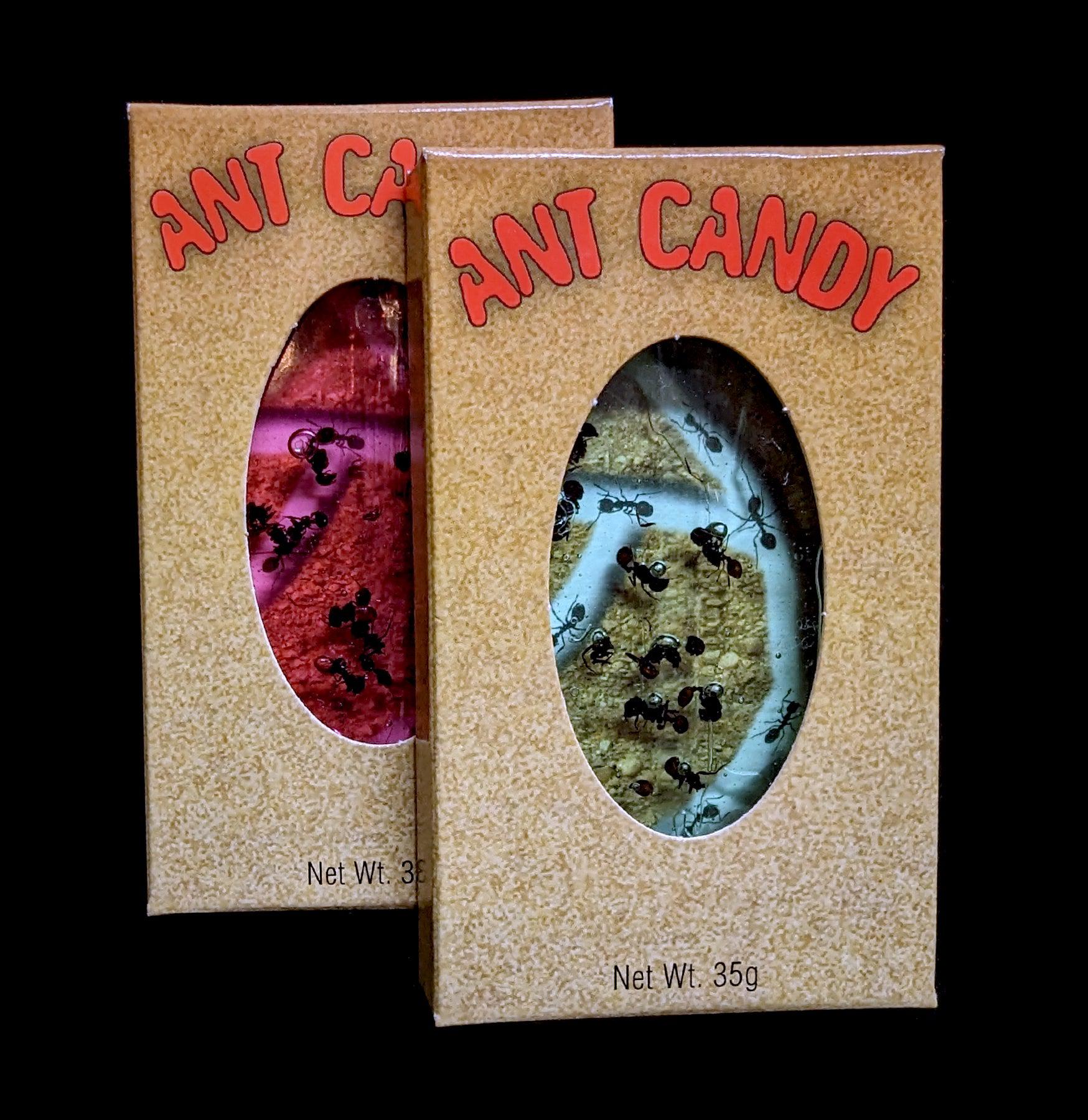 Ant Candy - Sweet & Crunchy Edible Ant Treats for Unique Snacking & Culinary Adventures - Perfect for Parties, Gifts & Exotic Food Lovers