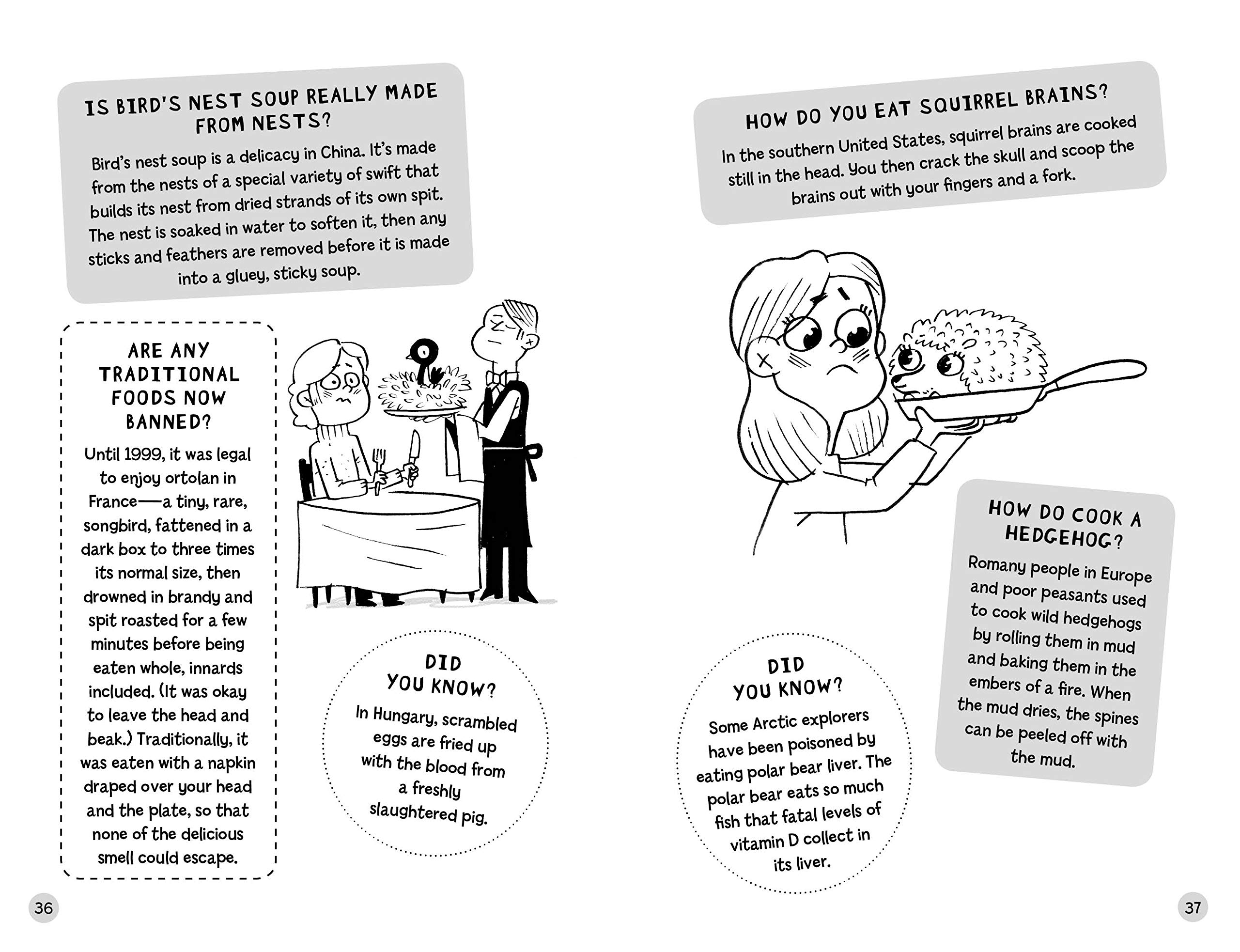 Did Cavemen Brush Their Teeth? Fun Science Book for Kids - Questions & Answers About Gross Stuff (Big Ideas Series #1) - Perfect for Classroom Learning & Homeschooling