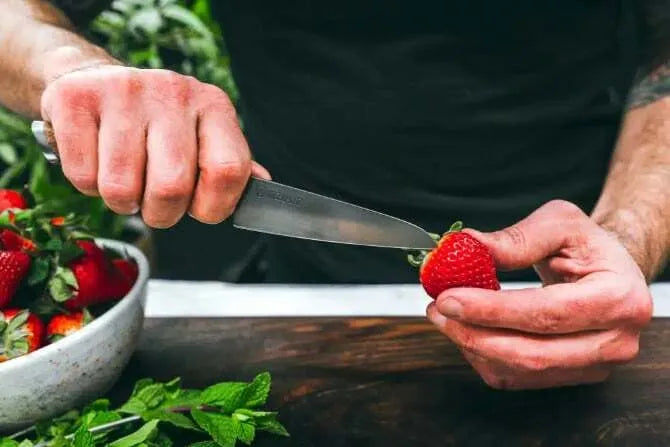 Premium Steelport Paring Knife - 3.5 Inch Sharp Kitchen Utility Knife for Peeling, Slicing & Precision Cutting - Ideal for Fruits, Vegetables & Detailed Culinary Tasks