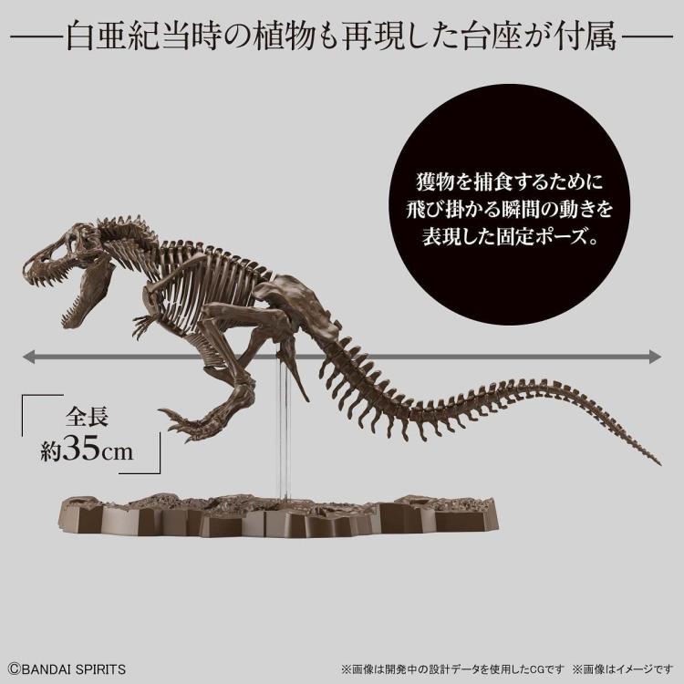 Bandai 1/32 Imaginary Skeleton Tyrannosaurus Dinosaur Model Kit - Premium Collectible for Dinosaur Enthusiasts, Perfect for Display, Gifts & Educational Scenes