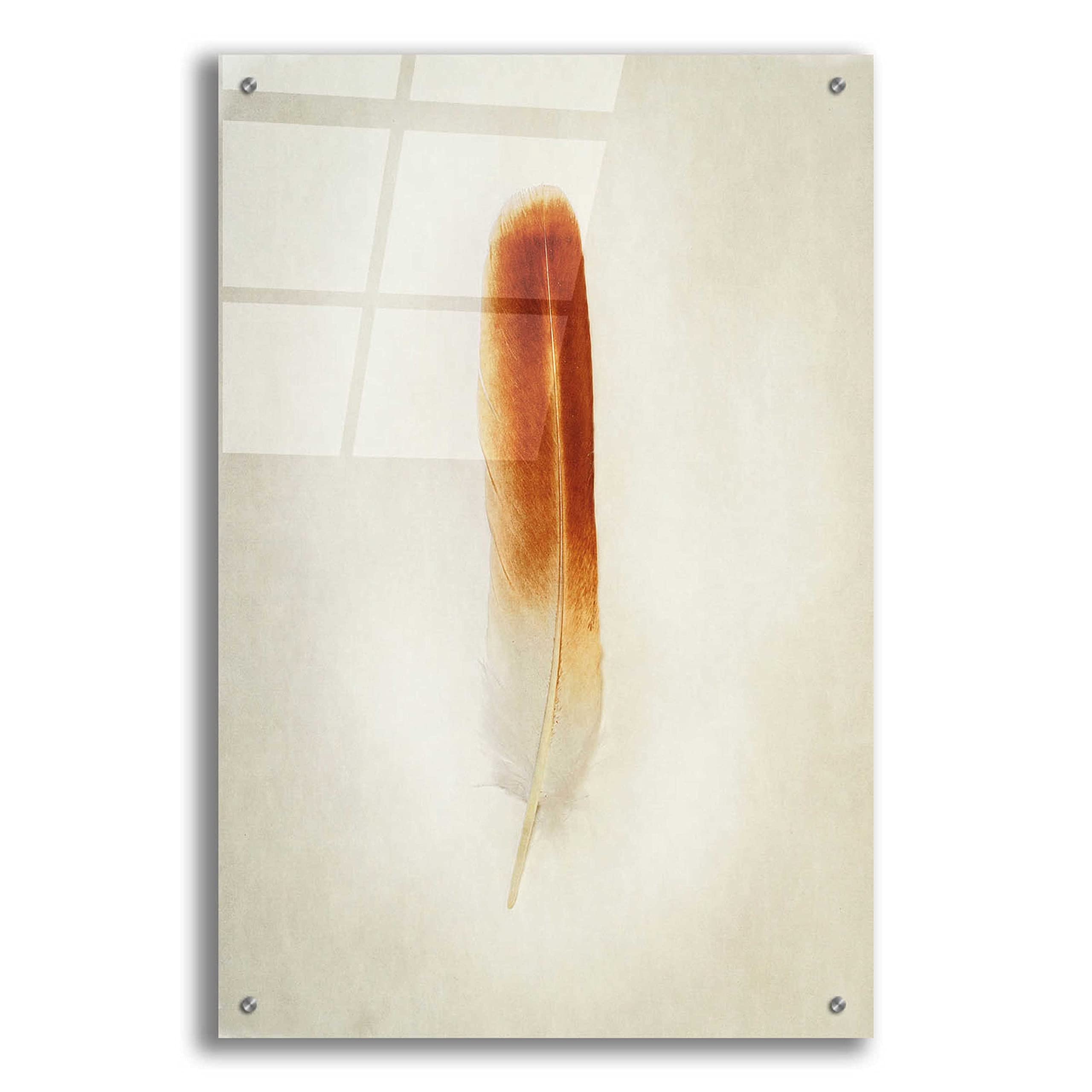 Epic Art 'Feather II' by Debra Van Swearingen - 24x36 Inch Acrylic Glass Wall Decor - Modern Abstract Painting for Living Room, Bedroom & Office Decor