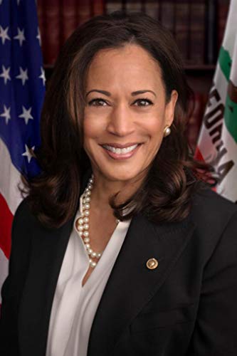 Kamala Harris Official Portrait | 14089