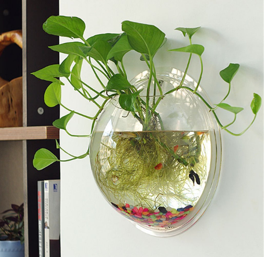 1 Gallon Hanging Wall Mounted Fish Tank Bowl - Clear Large Aquarium for Plants & Fish with Bubble Feature | Perfect for Home, Office & Wall Decor