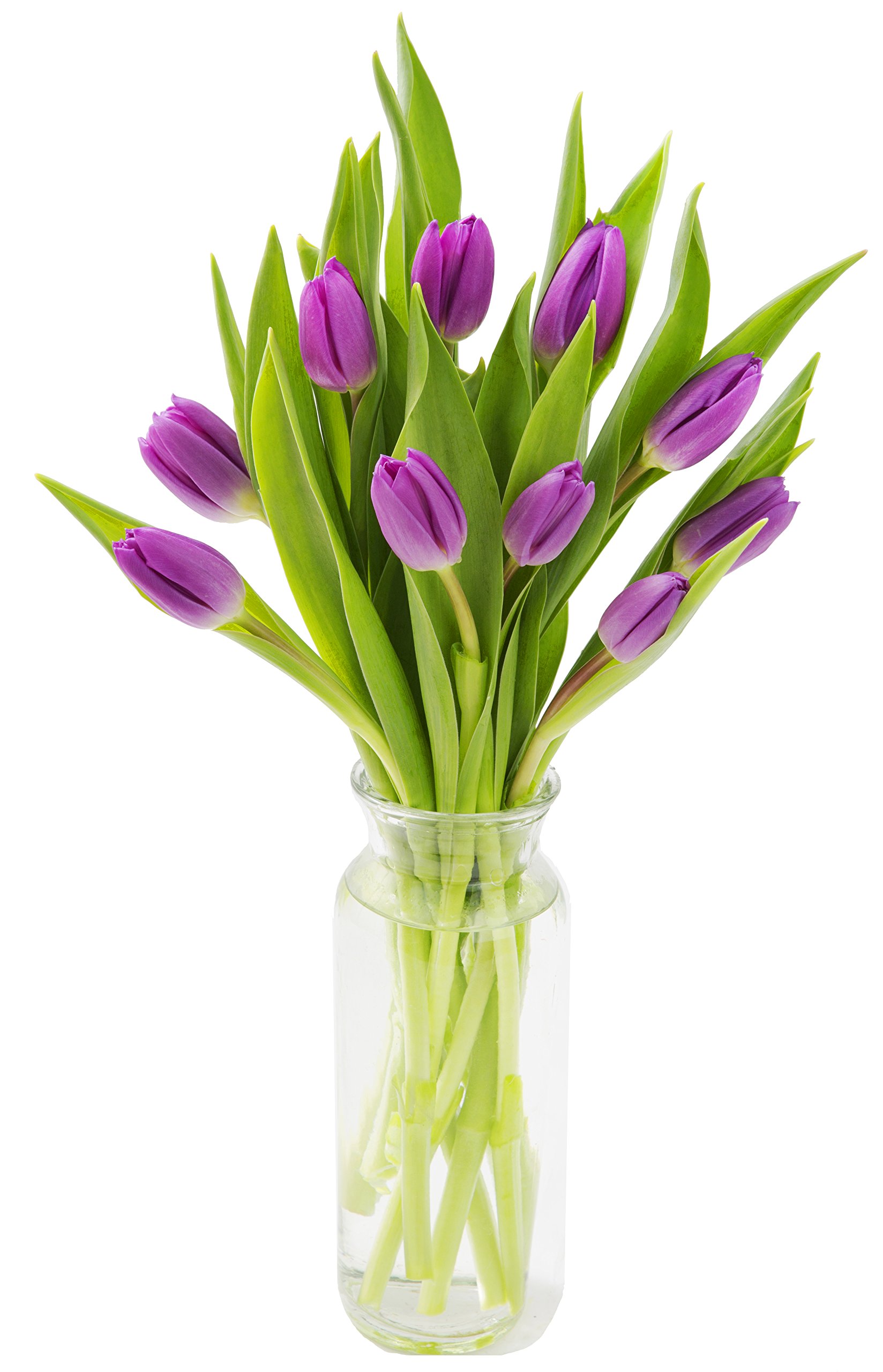 Fresh Purple Tulips Bouquet with Vase - Next Day Delivery | Birthday, Anniversary, Get Well, Mother’s Day Gift | Perfect for Home Decor, Wedding Centerpieces & Romantic Surprises