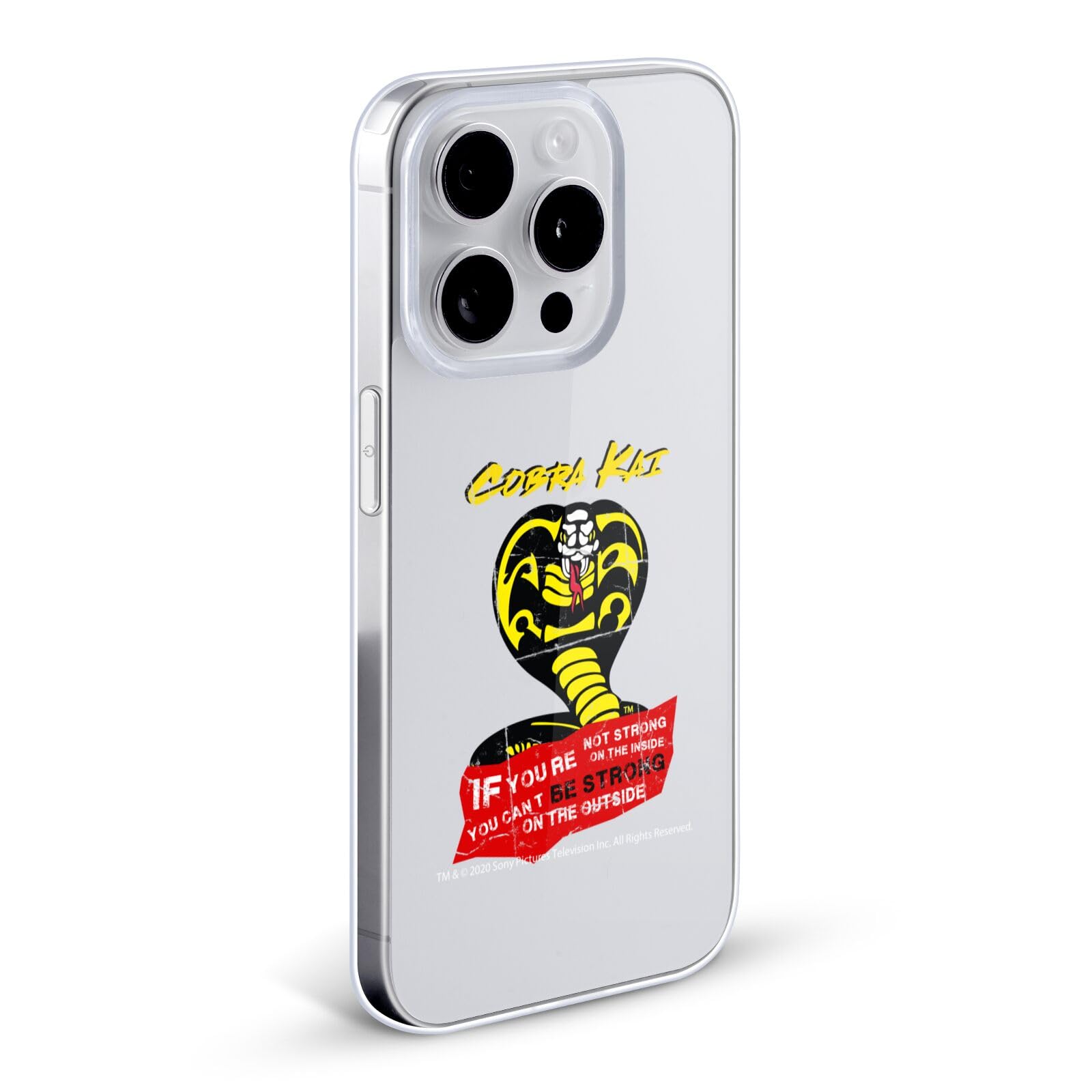 Official Cobra Kai 