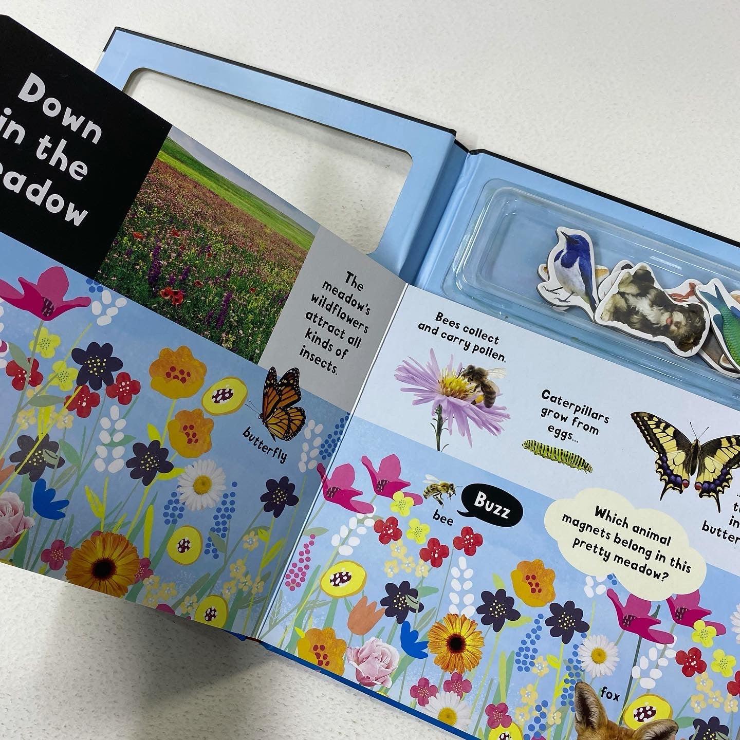 My First Book of Magnets with 5 Play Scenes - Fun Animal Magnet Toy for Kids Learning & Early Education | Perfect for Preschool Activities, Travel Entertainment & Sensory Play