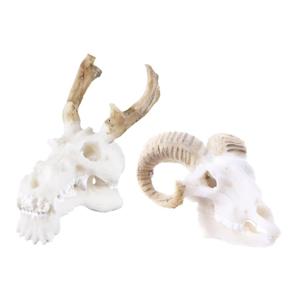 2 Pack Resin Cave Hideouts for Aquarium - Dragon Skull & Landscape Decorations for Fish Tank - Perfect for Betta Fish, Shrimp & Small Aquatic Pets