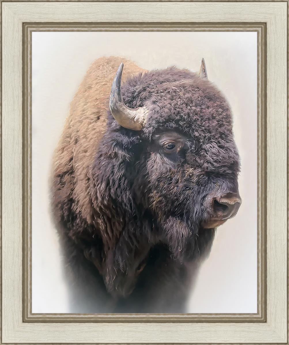 Bison By Matthew Grant | Premium Bison Meat & Jerky | High-Protein Snacks for Camping, Hiking & Outdoor Adventures