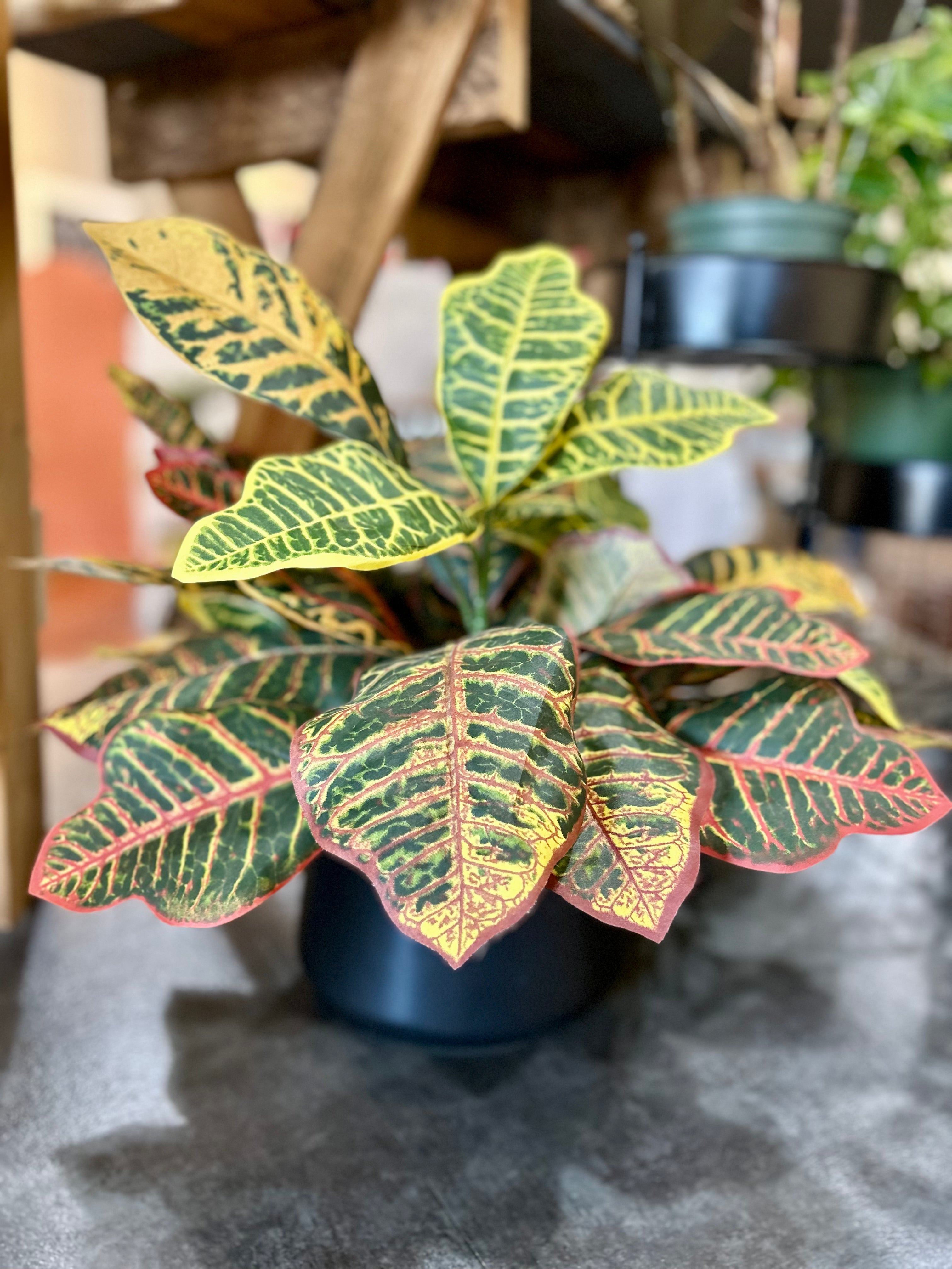 6 Inch Silk Potted Croton Artificial Plant - Realistic Faux Croton Houseplant for Home Decor, Office Desk, Living Room & Indoor Greenery