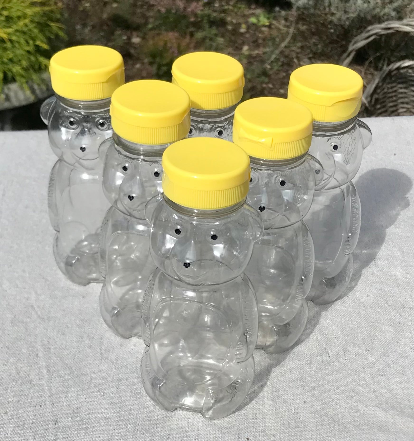 Organic Raw Honey in Bear-Shaped Bottles - 6 Pack (12oz Each) | Pure, Natural Sweetener for Tea, Baking & Healthy Snacks | Perfect for Gifts & Family Use