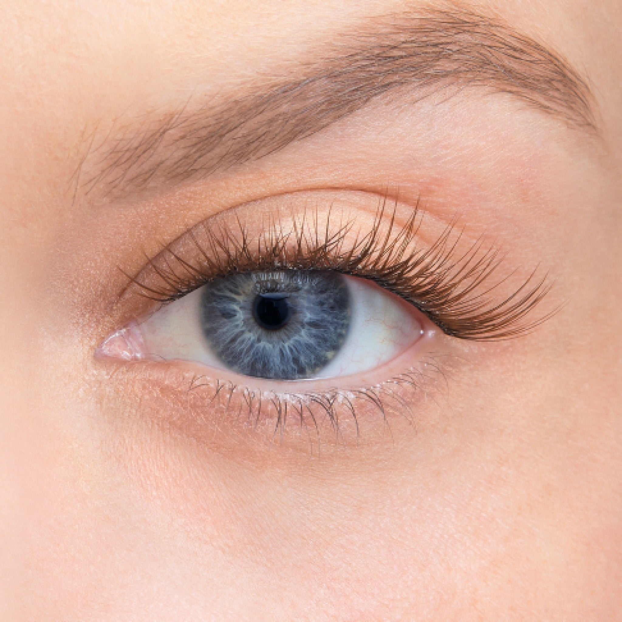 Amplify Core Gossamer® Lash - Volumizing Mascara for Long & Thick Lashes | Perfect for Daily Wear & Special Occasions