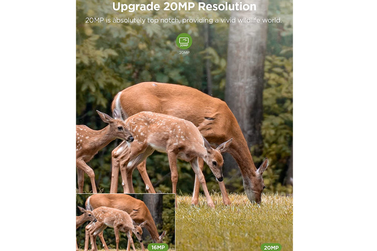 Apeman H50 20MP 1080P HD Trail Camera with Night Vision - Waterproof Hunting Game Camera for Wildlife Monitoring, Outdoor Security, and Nature Photography