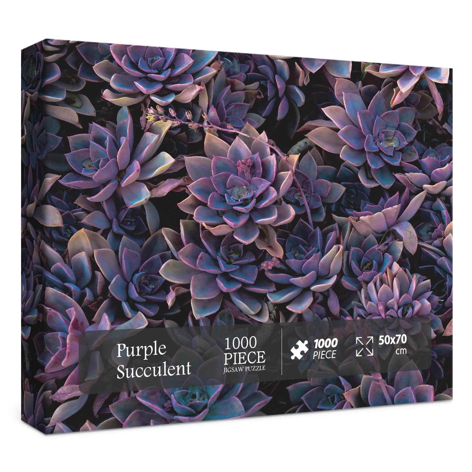 1000-Piece Impossible Purple Succulent Jigsaw Puzzle - Challenging Adult Puzzle with Vibrant Plant Design - Perfect for Stress Relief, Family Game Night & Home Decor