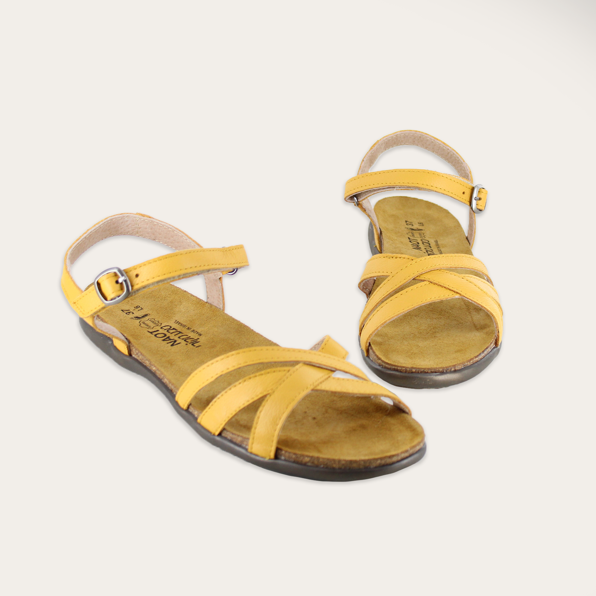 Patricia Fad - Premium Fashion Accessories for Women | Trendy Bags, Wallets & More | Perfect for Work, Travel & Everyday Use
