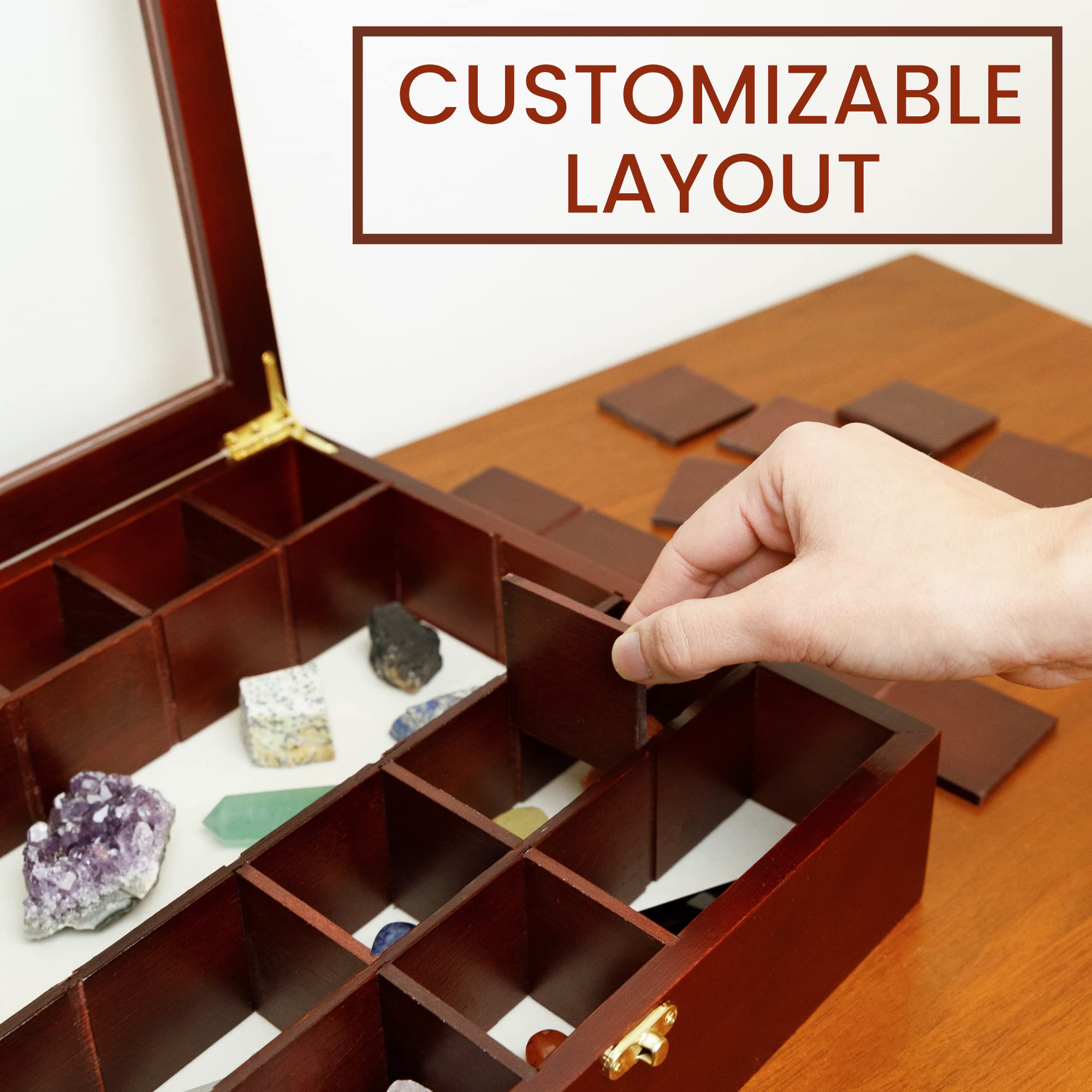 Premium Adjustable Rock Display Case - Dark Finish Shadow Box with Fabric Bed & Shelves for Mineral, Crystal & Rock Collection - Perfect for Home Decor, Geology Enthusiasts & Gift Giving