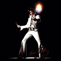 Elvis Presley Vintage Rock 'n' Roll T-Shirt for Men & Women - Perfect for Concerts, Parties & Retro Fashion