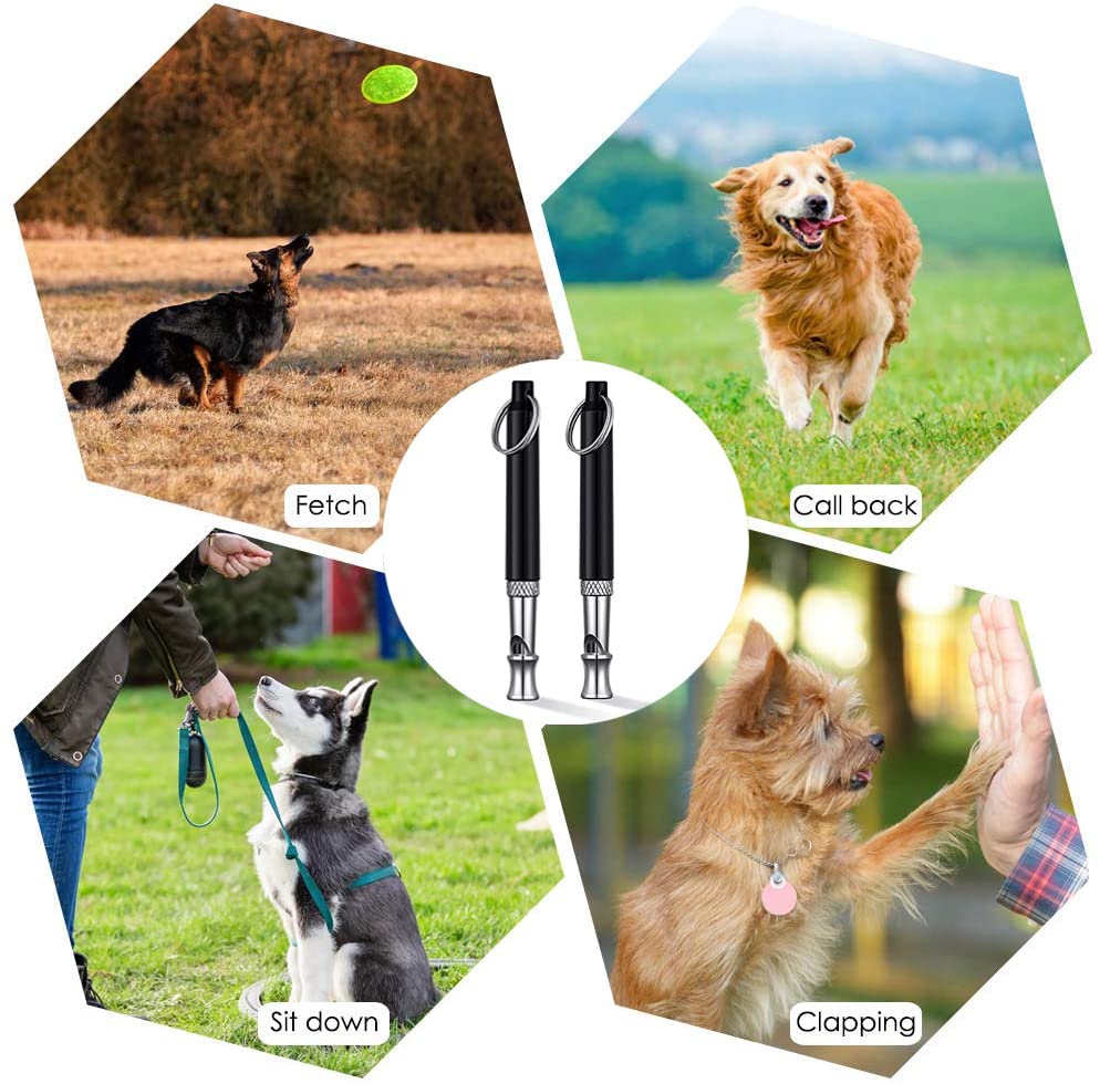 2 Pack Adjustable Ultrasonic Silent Dog Whistle - Professional Dog Training Tool to Stop Barking & Recall Training with Lanyard - Perfect for Neighbor's Noisy Dogs, Outdoor Adventures & Obedience Classes