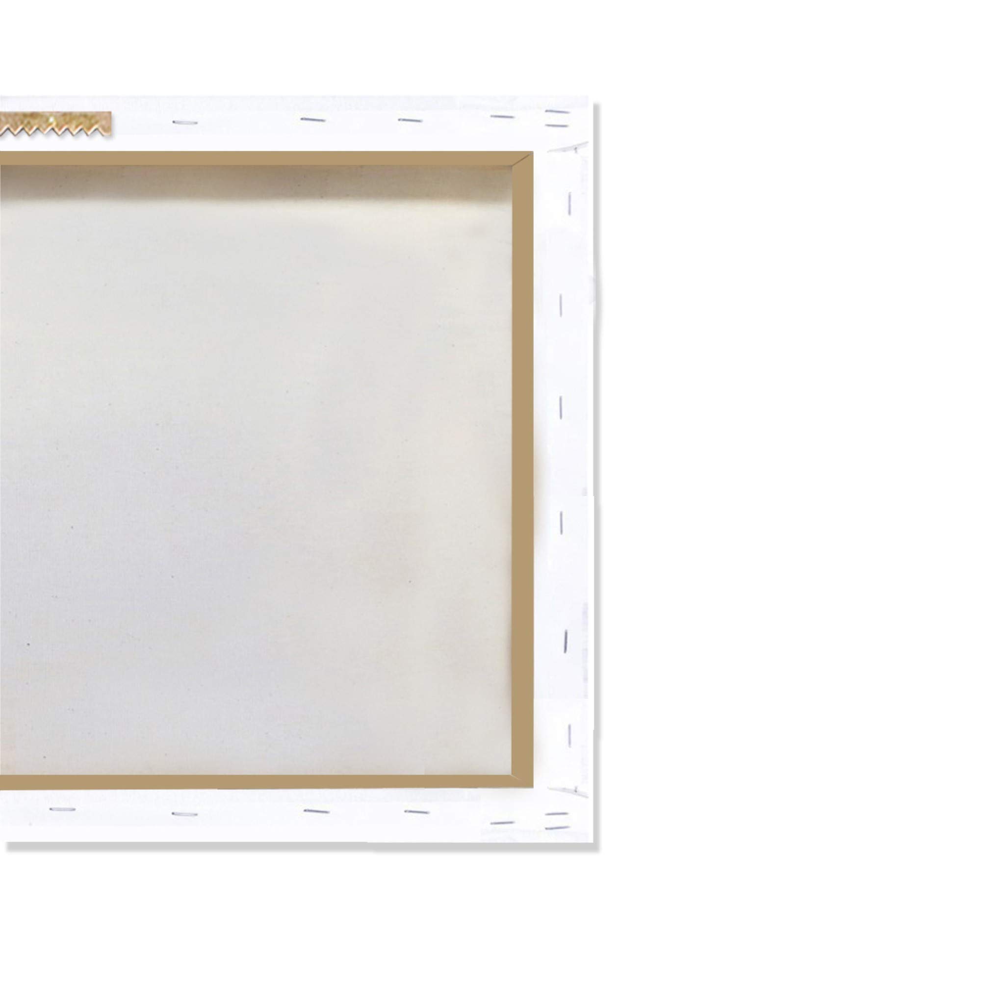 Wynwood Studio Blush Pineapple Square Wall Art Canvas Print - 30