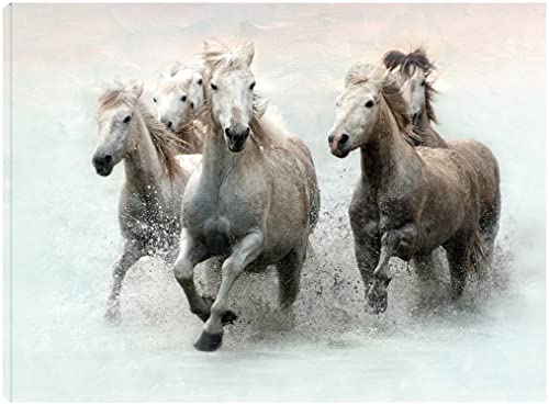 Run and Splash