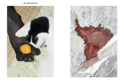 ECAL Photography Book - Bilingual English & French Edition - Perfect for Art Students, Photographers & Collectors