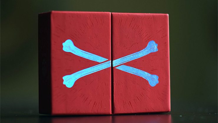 Skull & Bones Special Edition - Collector's Gaming Bundle | Limited Edition Video Game for PC & Consoles | Perfect for Pirates & Adventure Fans