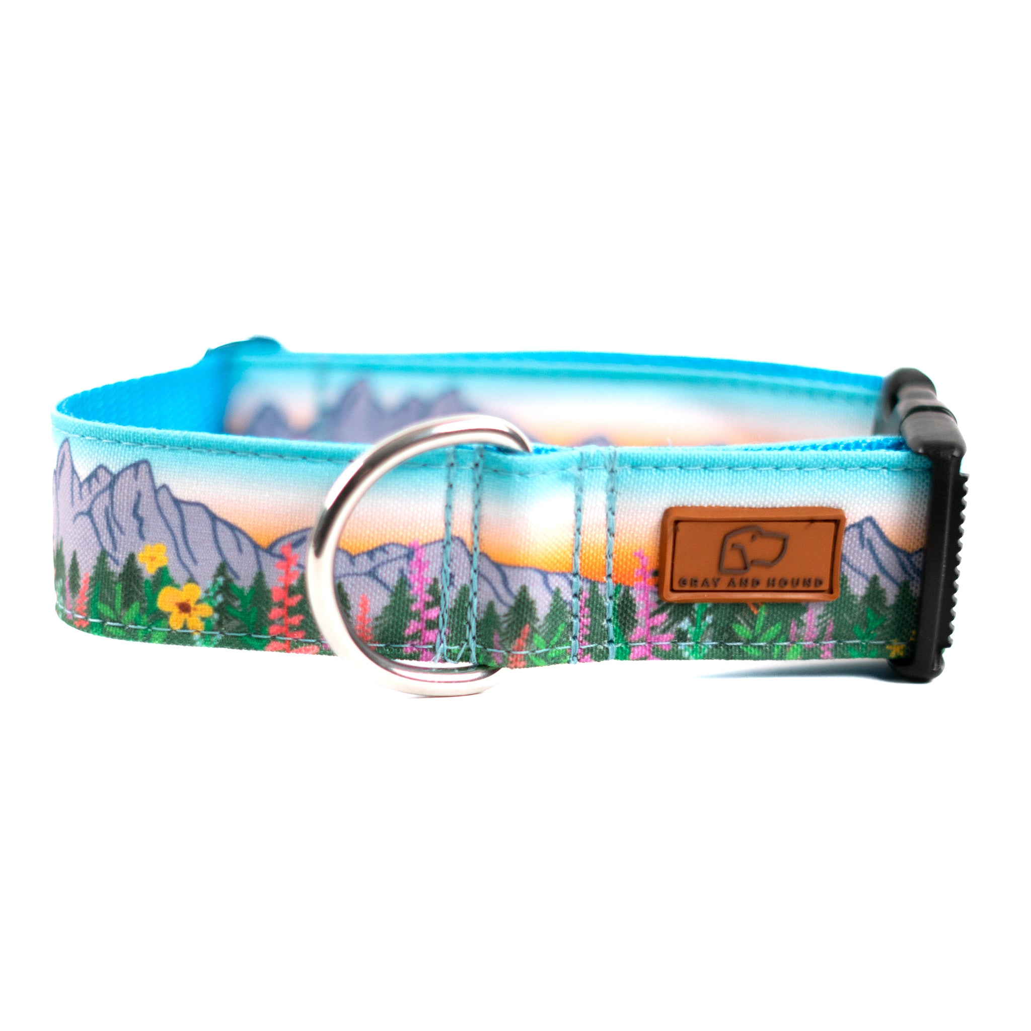 Premium Teton Sunrise Dog Collar - Durable Nylon Pet Collar with Adjustable Buckle, Reflective Strip for Safety - Perfect for Hiking, Walking & Outdoor Adventures