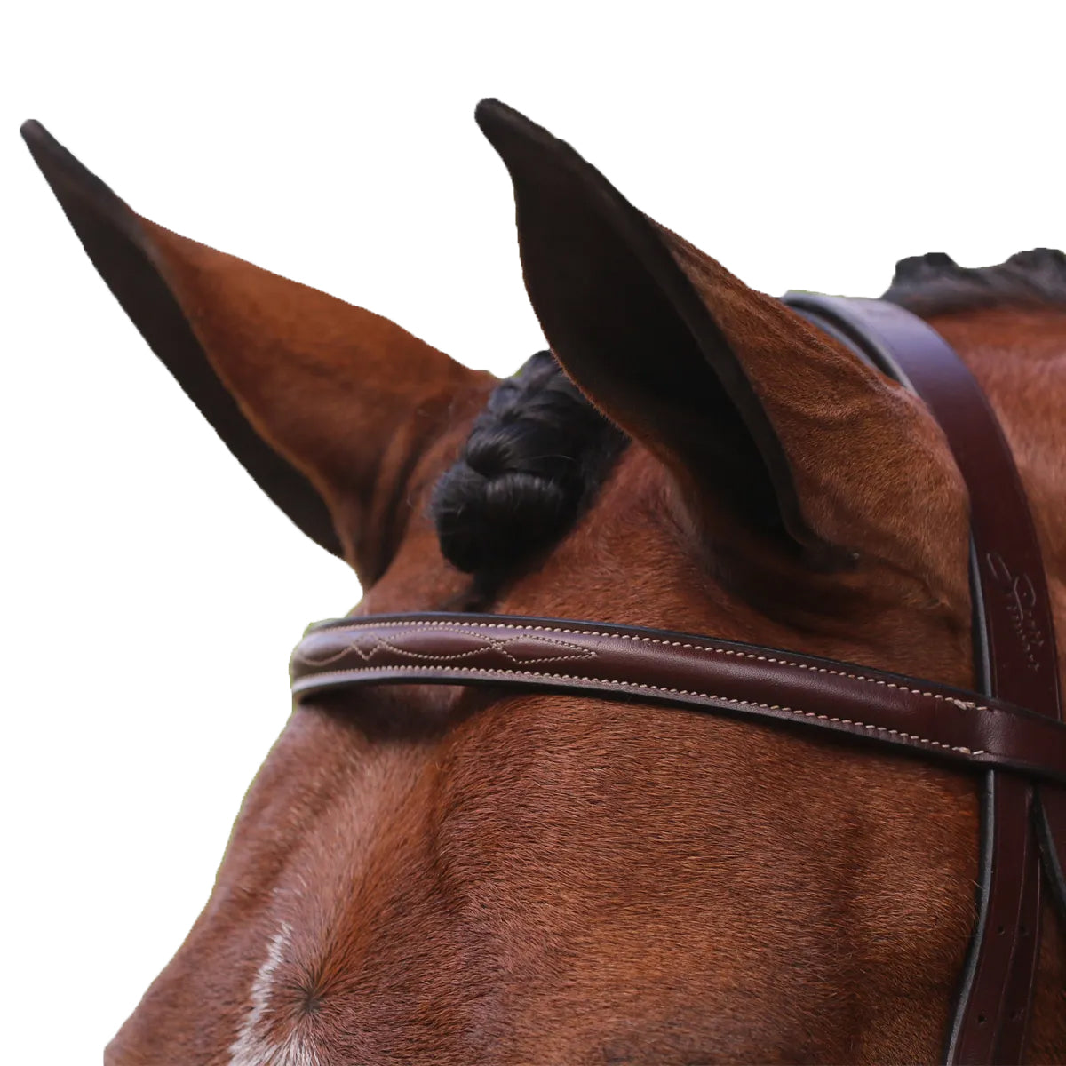 Equiline Scott Stewart Hunter Bridle – Premium English Riding Bridle for Show Jumping & Equestrian Competitions | Perfect for Training & Dressage