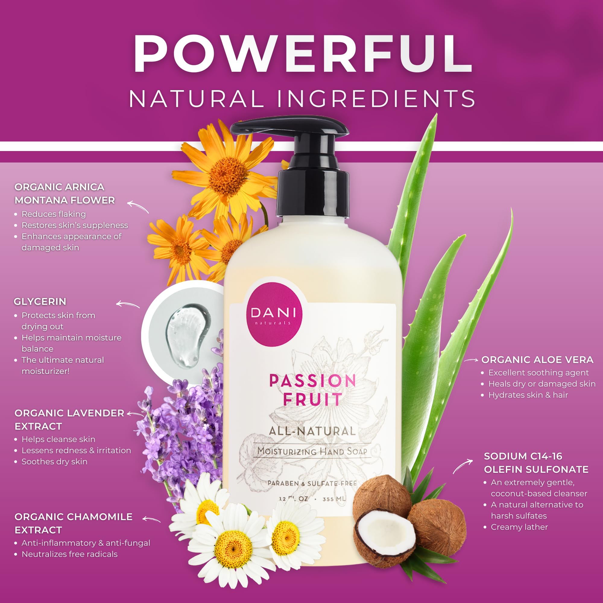 Dani Naturals Passion Fruit Hand Wash - 12 fl oz | Natural & Refreshing Foaming Soap for Kitchen, Bathroom & Office | Moisturizing & Gentle on Skin