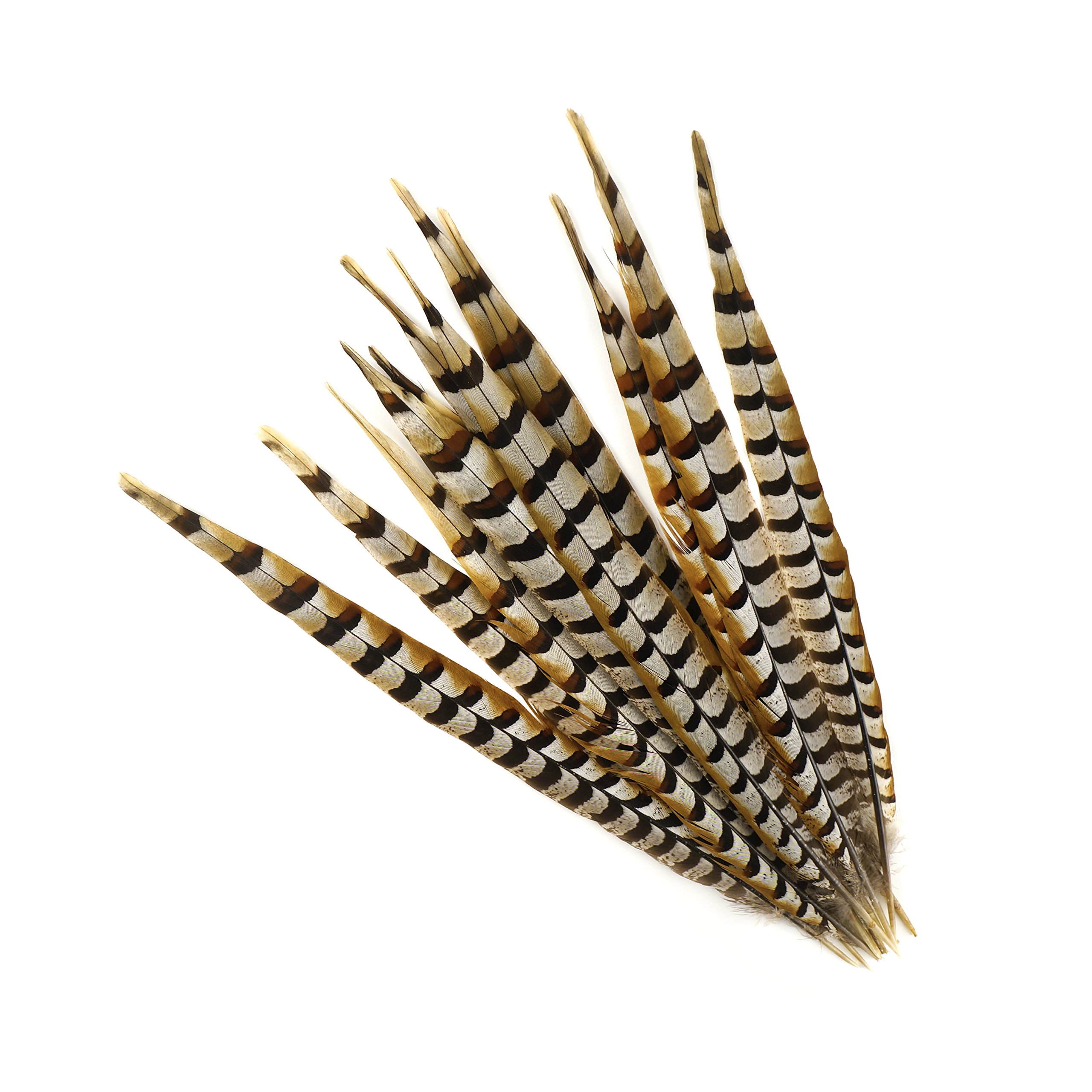 Natural Golden Brown Pheasant Tail Feathers - 16-20 Inch Craft Supplies for DIY Home Decor, Fly Tying, Costume Accessories (12 Pieces) - Perfect for Wedding Centerpieces, Bohemian Room Decor & Fishing Lures